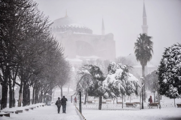 Foto - Bilim insanı 'Üzülerek belirtiyorum' diyerek Türkiye'ye şok edici haberi verdi: Artık ülkemizde göremeyebiliriz
