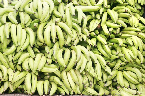 Foto - Bilim insanları 1000 adet yiyeceği inceledi! Şaşırtan sonuç