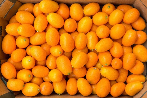 Foto - Bilim insanları 1000 adet yiyeceği inceledi! Şaşırtan sonuç