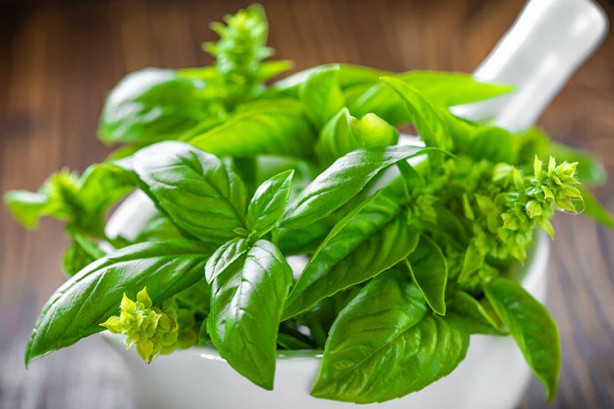 Foto - Bilim insanları 1000 adet yiyeceği inceledi! Şaşırtan sonuç