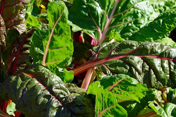 Foto - Bilim insanları 1000 adet yiyeceği inceledi! Şaşırtan sonuç