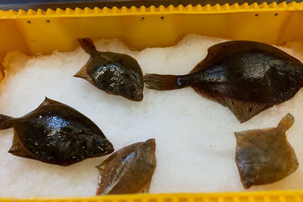 Foto - Bilim insanları 1000 adet yiyeceği inceledi! Şaşırtan sonuç