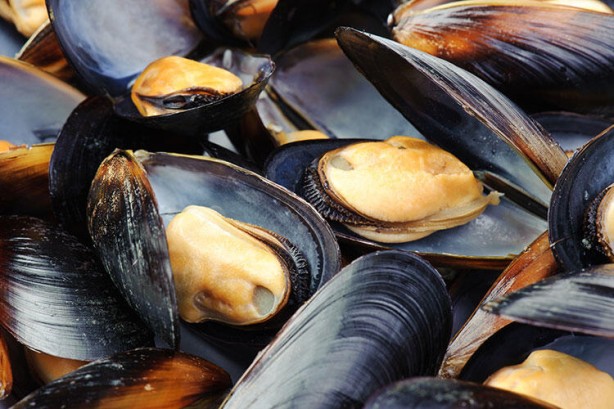 Foto - Bilim insanları 1000 adet yiyeceği inceledi! Şaşırtan sonuç