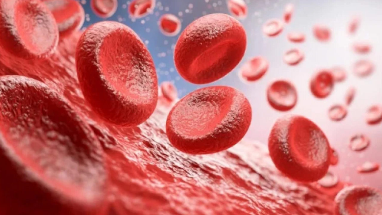 Bilim insanları açıkladı: 50 yıllık gizem çözüldü!