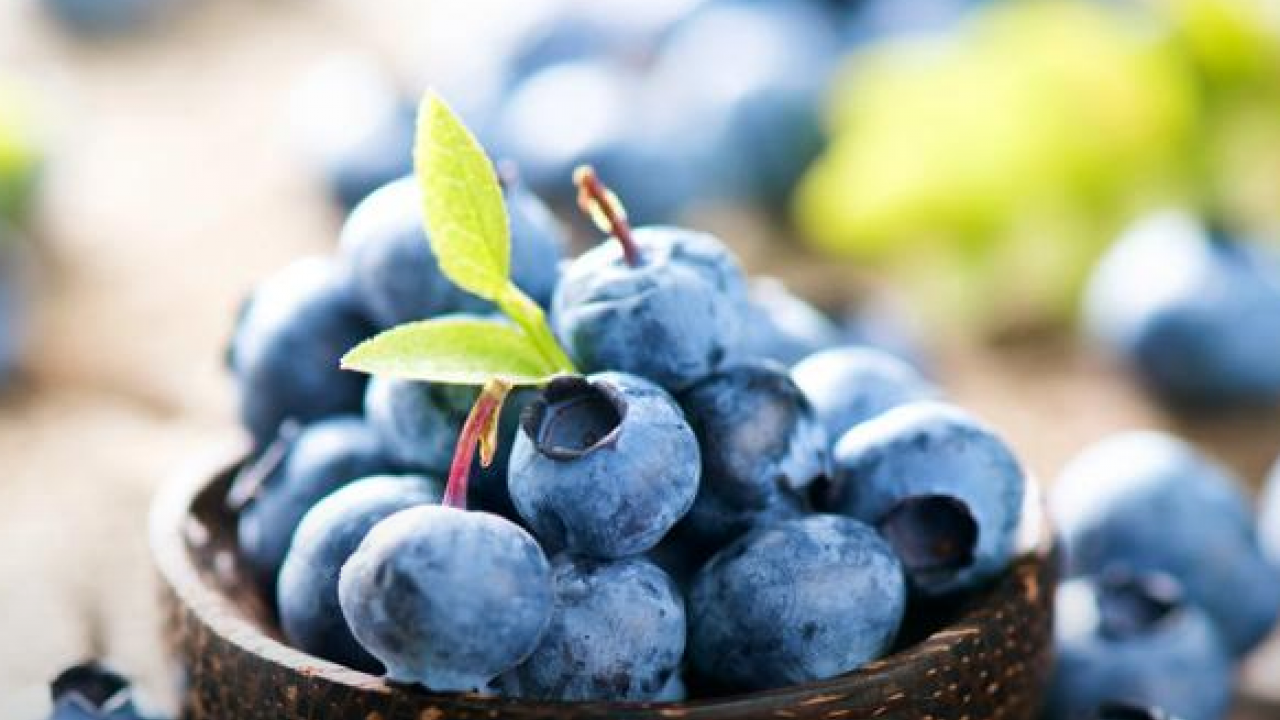 Foto - Bilim insanları açıkladı: Bardak bardak içince bu alışkanlık ömrü 7 yıl uzatıyor Kalbi kaya kadar güçlendiriyor