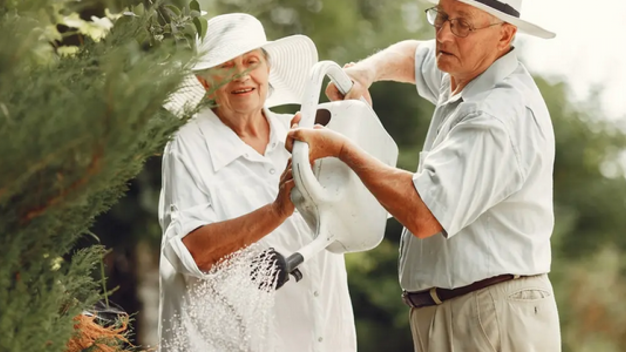 Foto - Bilim insanları açıkladı: Bardak bardak içince bu alışkanlık ömrü 7 yıl uzatıyor Kalbi kaya kadar güçlendiriyor