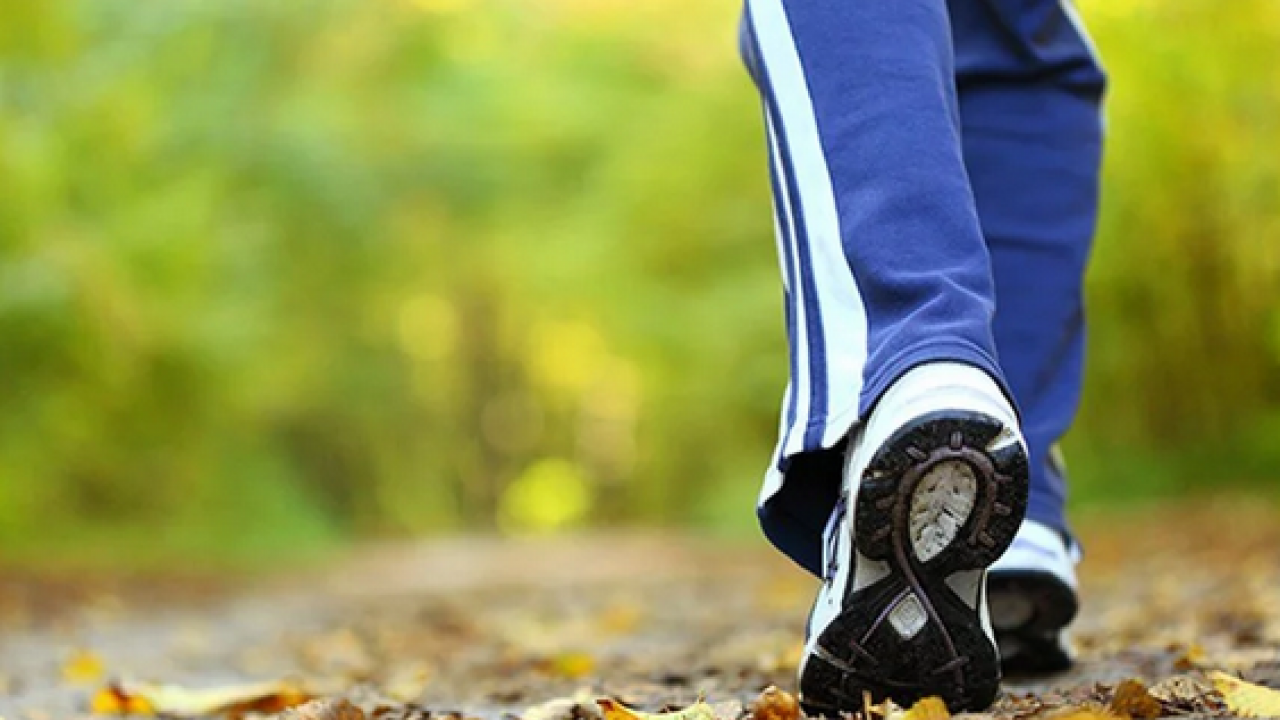 Bilim insanları açıkladı: Bardak bardak içince bu alışkanlık ömrü 7 yıl uzatıyor Kalbi kaya kadar güçlendiriyor