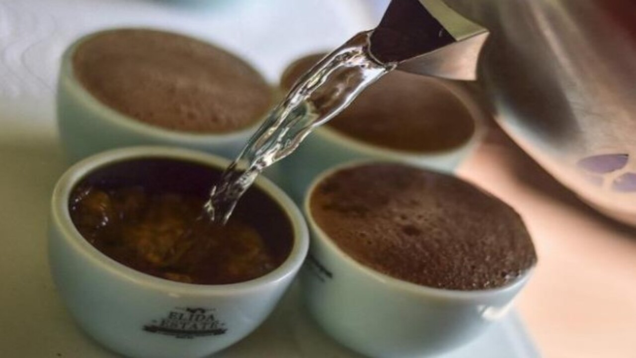 Foto - Bilim insanları açıkladı! Sade kahve bakın neye iyi geliyor