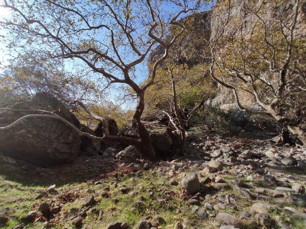 Foto - Bilim insanları akın etmişti! O bölgenin sırrı çözülüyor