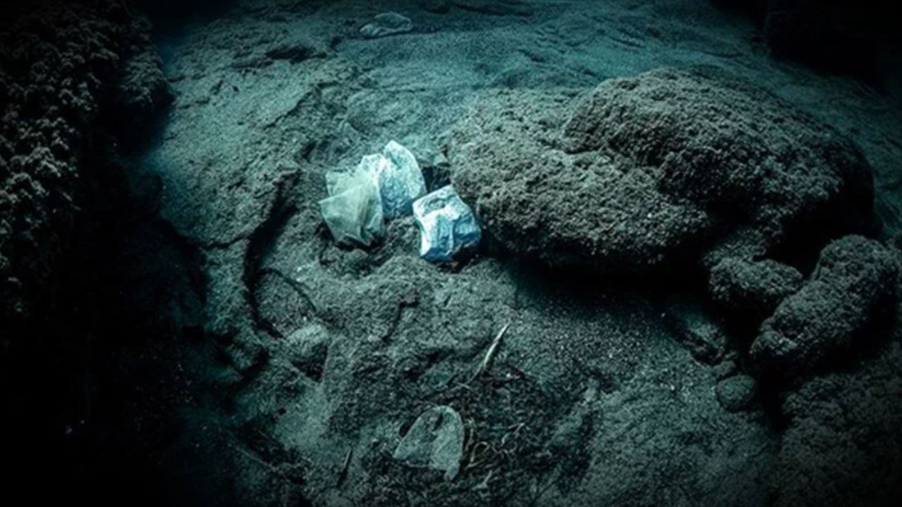 Bilim insanları, başka bir altın kaynağına ulaştı! Herkes şaşkın