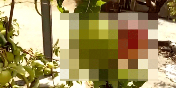 Bilim insanları bu durumu açıklayamıyor! Tüm dünya şaşkın