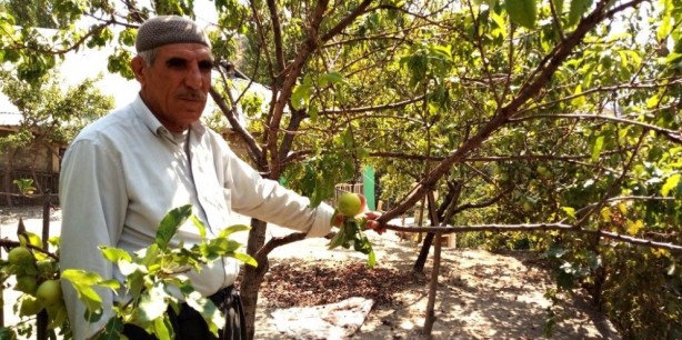 Foto - Bilim insanları bu durumu açıklayamıyor! Tüm dünya şaşkın