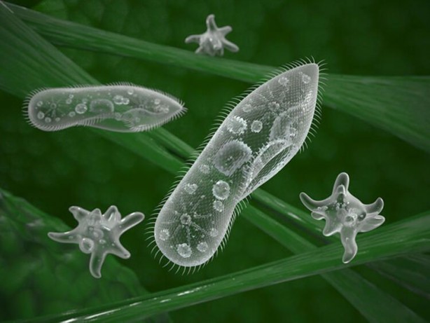 Foto - Bilim insanları çok endişeli! İşte dünyayı bekleyen korkunç son…