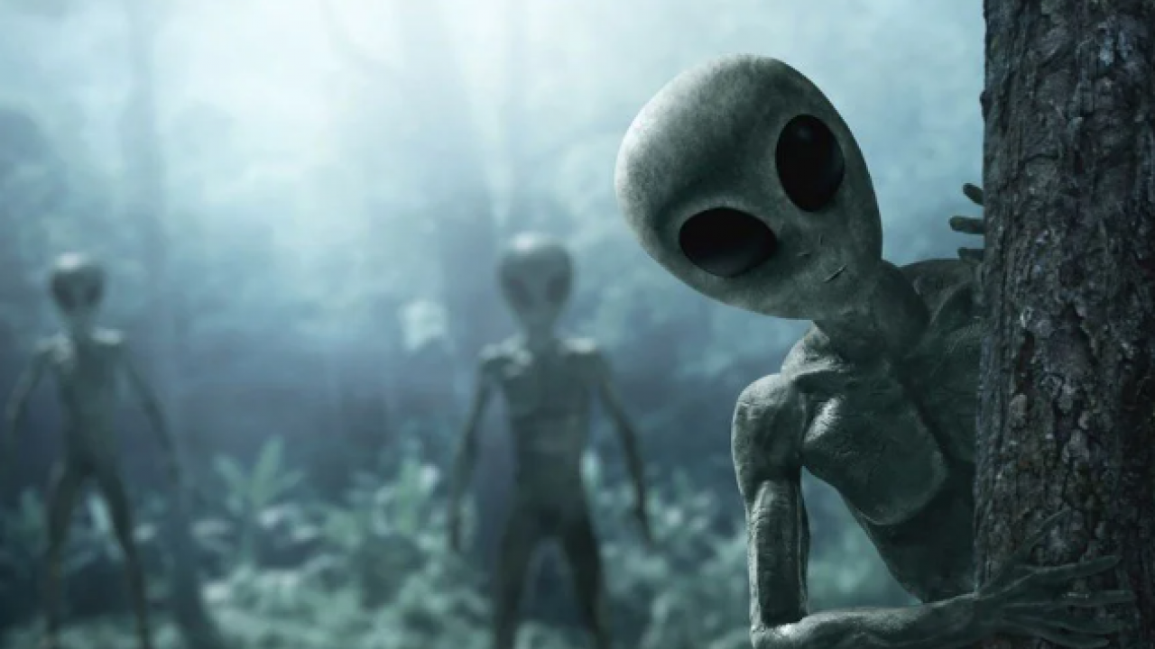 Foto - Bilim insanları iddialı konuştu! 4 uzaylı türü var, işte onlar