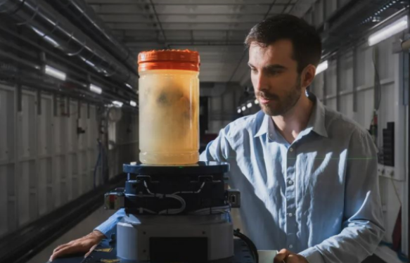 Foto - Bilim insanları, insan kalbinin iç yapısını ayrıntılı olarak gösteren, Google Earth'e benzer yeni bir teknoloji geliştirdi 