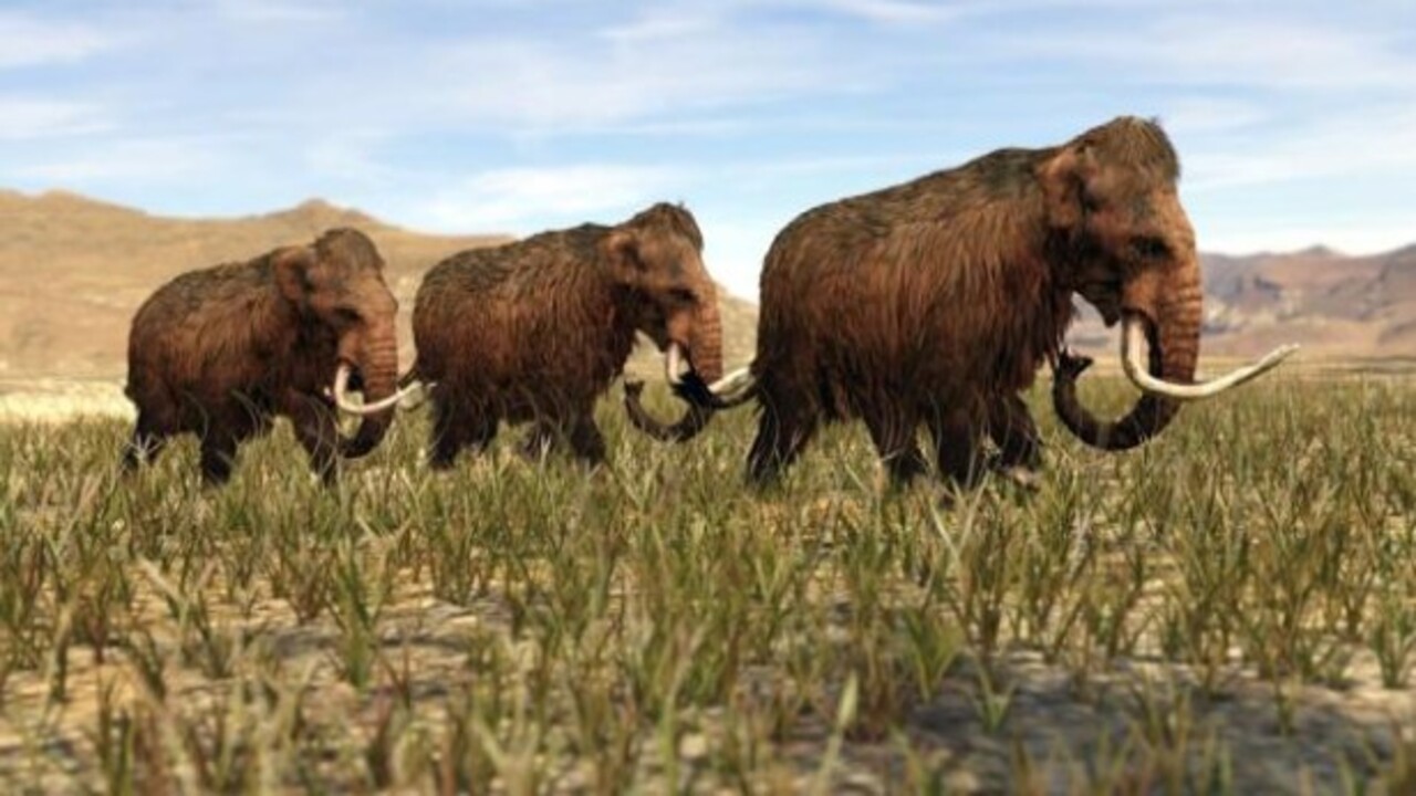 Foto - Bilim insanları o hayvanları açıkladı! Nesli tükenen canlıların aramıza dönmesi an meselesi