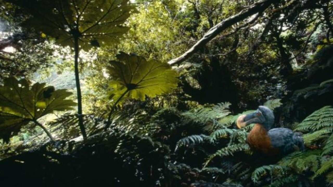 Foto - Bilim insanları o hayvanları açıkladı! Nesli tükenen canlıların aramıza dönmesi an meselesi