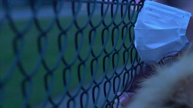 Foto - Bilim insanları salgınların kaynağını açıklayıp çağrıda bulundu: Hemen durdurun