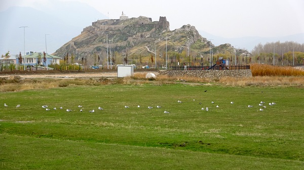 Foto - Bilim insanları tedirgin! Van'da neler oluyor böyle