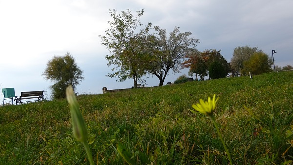 Foto - Bilim insanları tedirgin! Van'da neler oluyor böyle