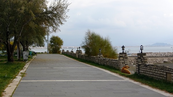 Foto - Bilim insanları tedirgin! Van'da neler oluyor böyle