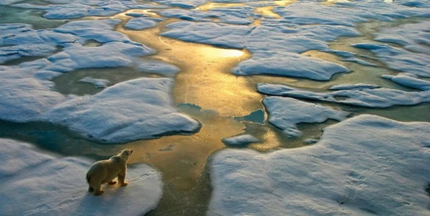 Foto - Bilim insanları tek tek uyarı üstüne uyarı yaptı: Hayatta olmaz dediğiniz şeyler oluyor! Hızla eriyor, geri dönüşü yok
