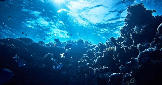 Foto - Bilim insanlarından kritik uyarı: Büyük bir yıkıma neden olacak