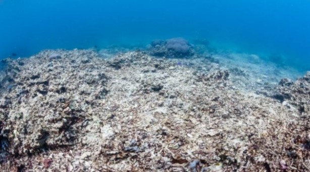 Foto - Bilim insanlarından kritik uyarı: Büyük bir yıkıma neden olacak