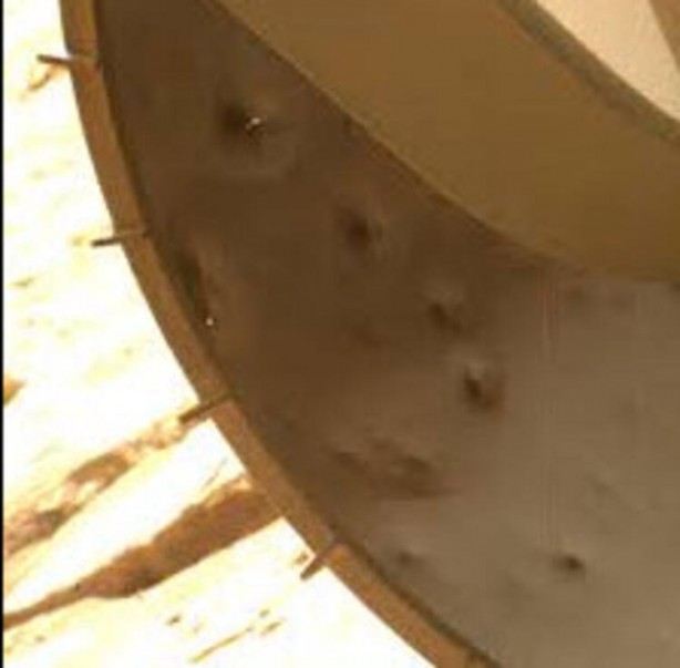 Foto - Bilim insanlarından olay açıklama: Koronavirüsten çok daha tehlikeli...