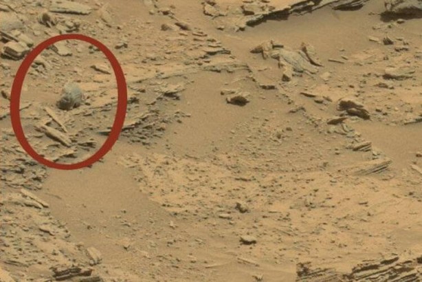 Foto - Bilim insanlarından olay açıklama: Koronavirüsten çok daha tehlikeli...