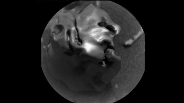 Foto - Bilim insanlarından olay açıklama: Koronavirüsten çok daha tehlikeli...