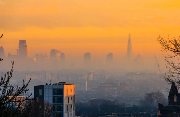 Foto - Bilim insanlarından olay açıklama: Koronavirüsten çok daha tehlikeli...