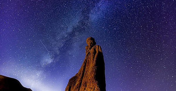 Bilim insanlarından şaşırtan araştırma! Yaşam Türkiye'de başlamış olabilir