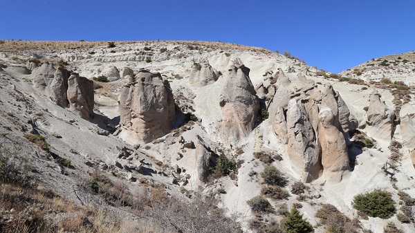 Foto - Bilim insanlarından şaşırtan araştırma! Yaşam Türkiye'de başlamış olabilir