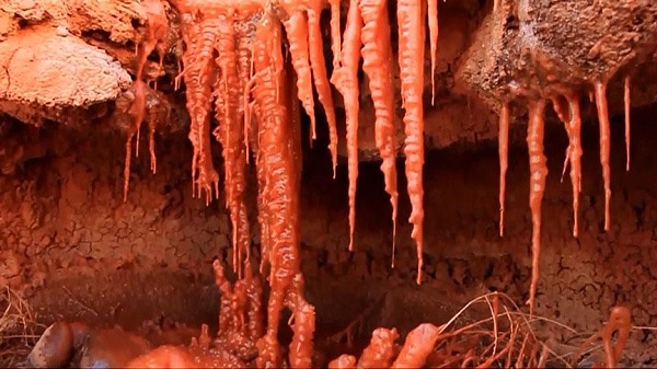 Foto - Bilim insanlarından şaşırtan araştırma! Yaşam Türkiye'de başlamış olabilir