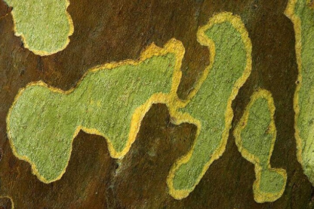 Foto - Bilim insanlarından şok eden iddia! Hayalini kurmak bile ürkütücü