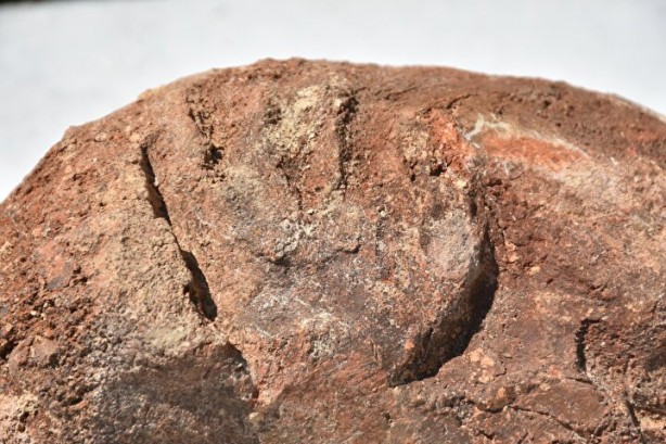 Foto - Bilim insanlarını heyecanlandıran keşif o ilimizde ortaya çıktı! Tam 8 bin yıllık...