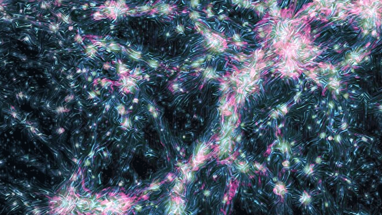 Foto - Bilim insanlarını heyecanlandıran keşif: Uzaydan kuş sesi geldi!