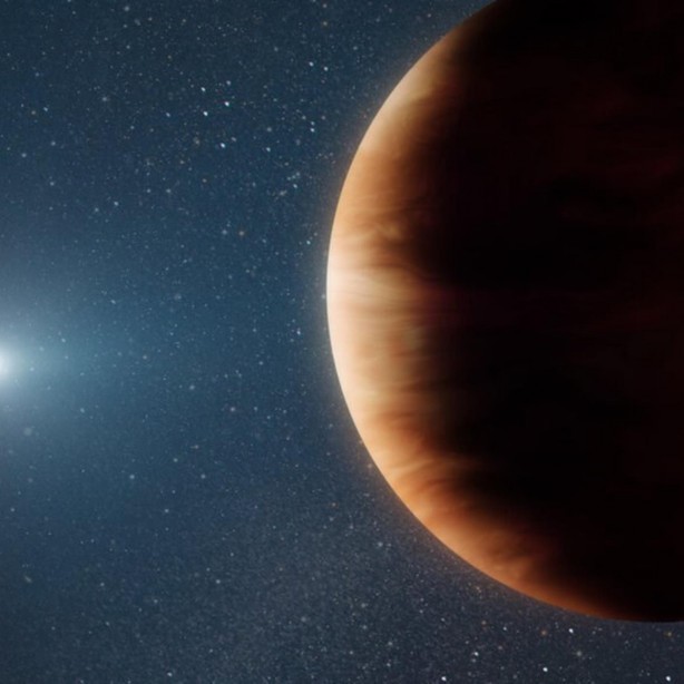 Foto - Bilim insanlarını şaşırtan keşif