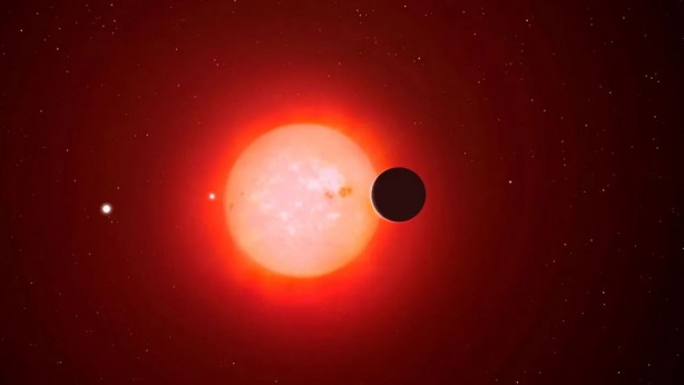 Foto - Bilim insanlarını şaşırtan keşif