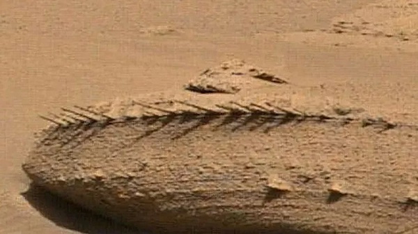 Foto - Bilim insanlarının bile ağzı açık kaldı! Mars'ta keşfedilen en tuhaf cisim