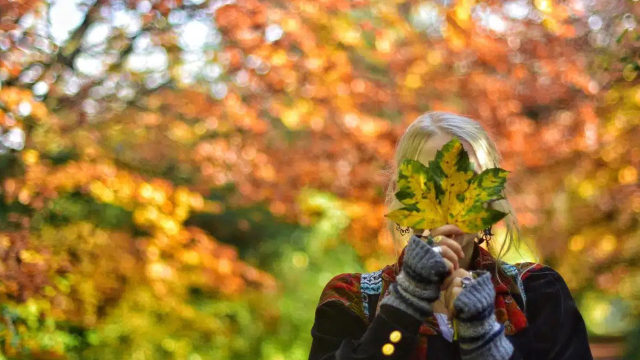 Foto - Bilim kanıtladı! Doğada geçirilen bir gün beyni sıfırlıyor