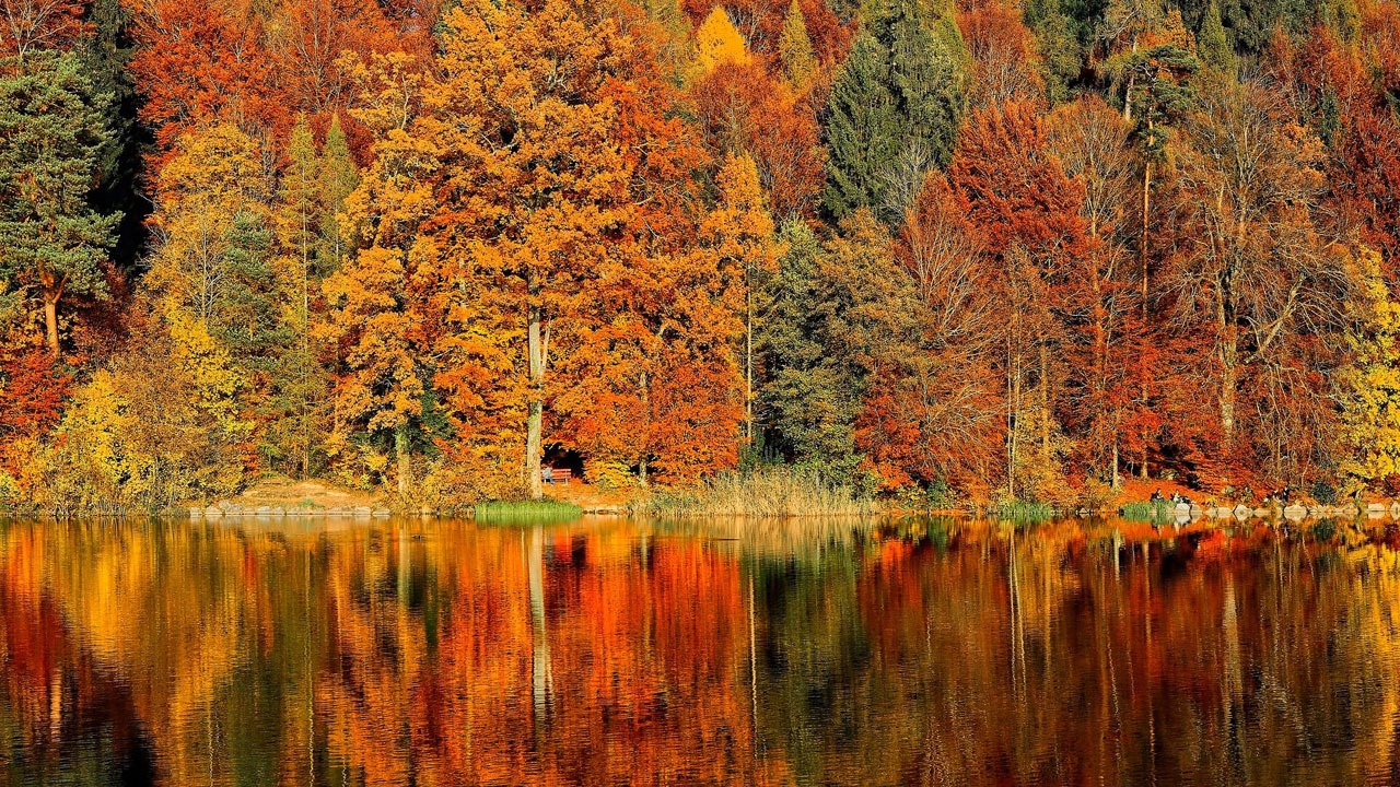 Bilim kanıtladı! Doğada geçirilen bir gün beyni sıfırlıyor