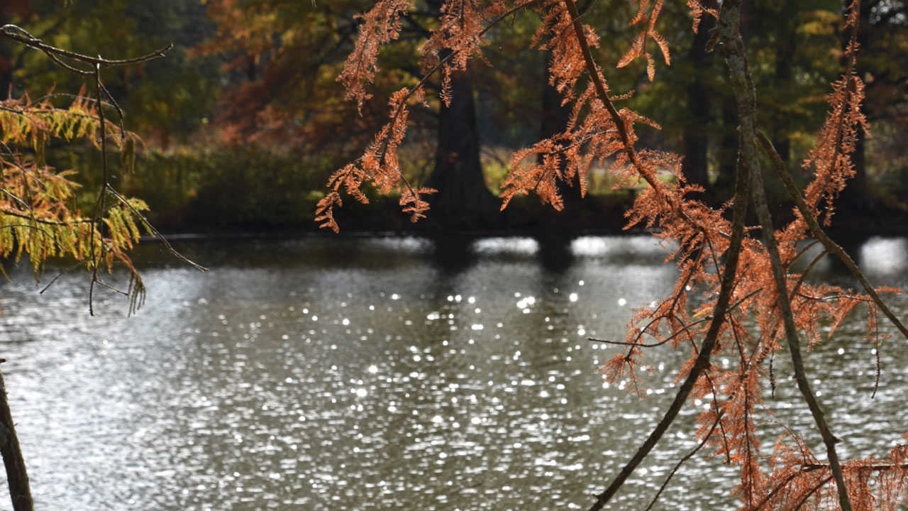 Foto - Bilim kanıtladı! Doğada geçirilen bir gün beyni sıfırlıyor