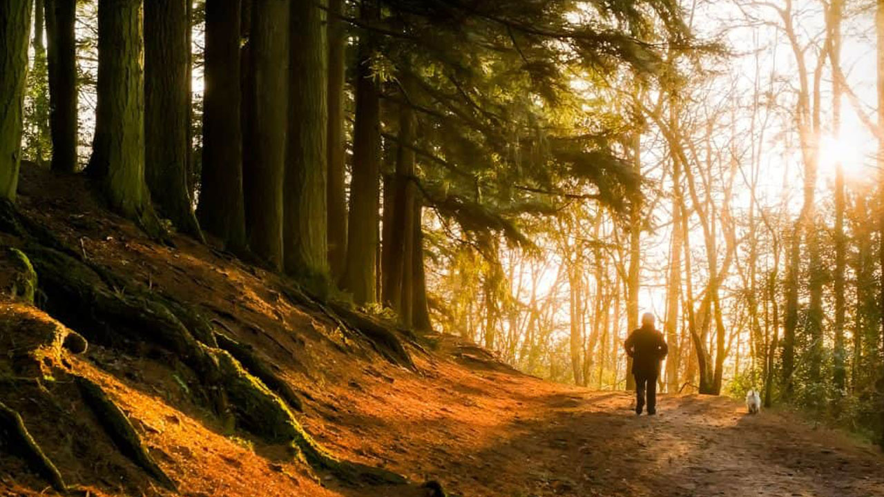Foto - Bilim kanıtladı! Doğada geçirilen bir gün beyni sıfırlıyor