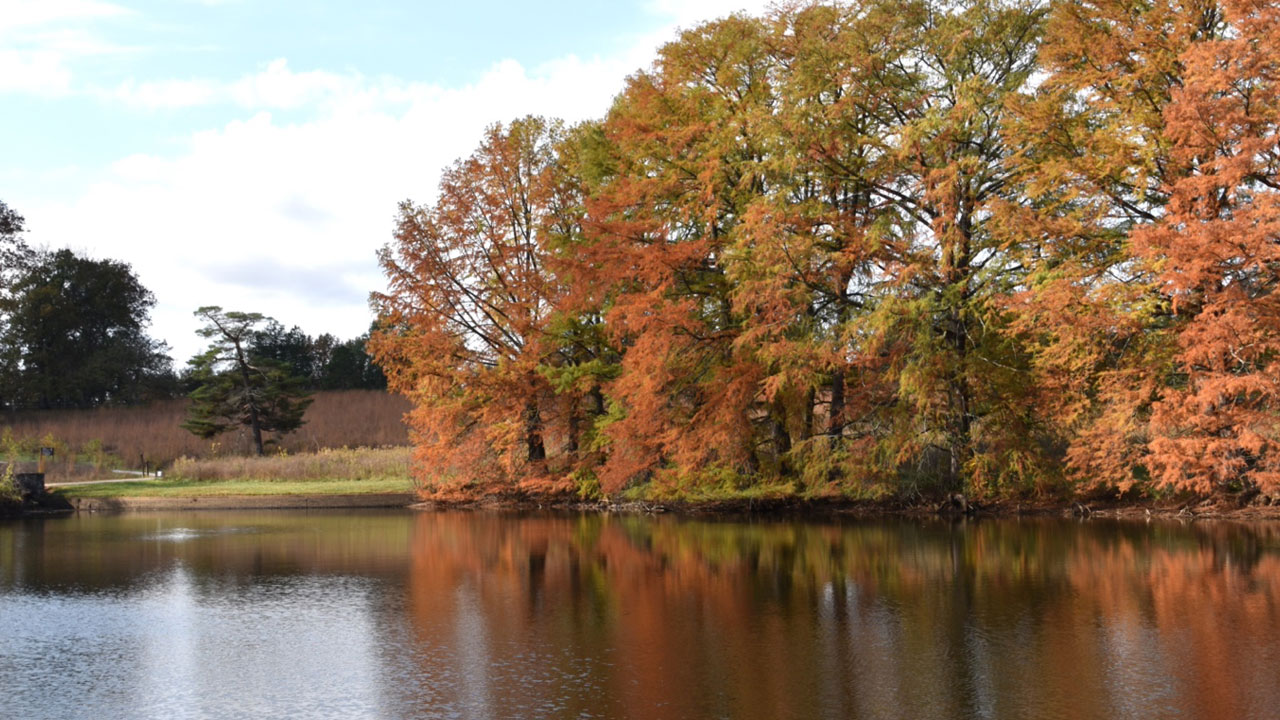 Foto - Bilim kanıtladı! Doğada geçirilen bir gün beyni sıfırlıyor
