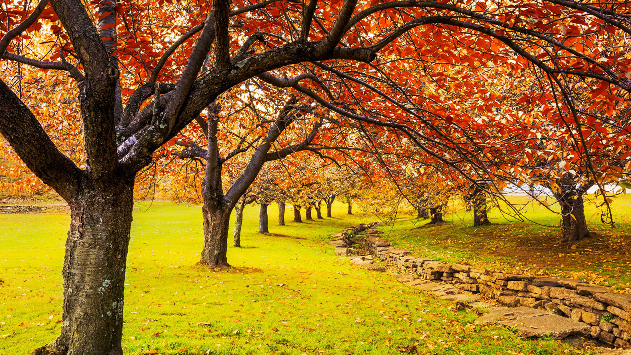 Foto - Bilim kanıtladı! Doğada geçirilen bir gün beyni sıfırlıyor