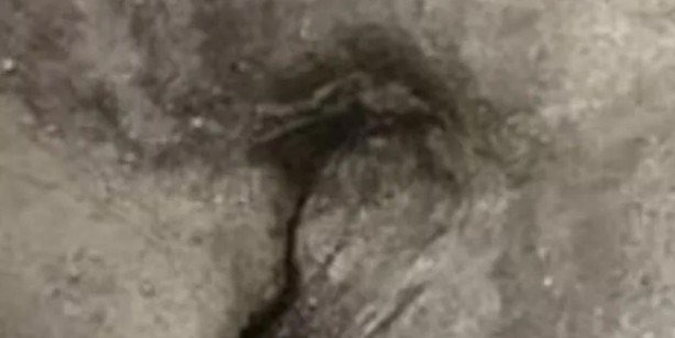 Foto - Bilimciler tarihi şok eden gelişmeyi ilan etti: İnsanlık tarihine ışık tutacak, tam 28 bin yıldır orada! Bakın nerede...