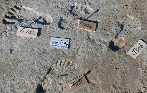 Foto - Bilimciler tarihi şok eden gelişmeyi ilan etti: İnsanlık tarihine ışık tutacak, tam 28 bin yıldır orada! Bakın nerede...