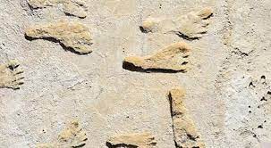 Foto - Bilimciler tarihi şok eden gelişmeyi ilan etti: İnsanlık tarihine ışık tutacak, tam 28 bin yıldır orada! Bakın nerede...